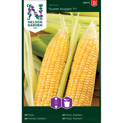 Frø mais Sweet Nugget