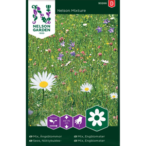 Frø engblomster Nelson Mixture