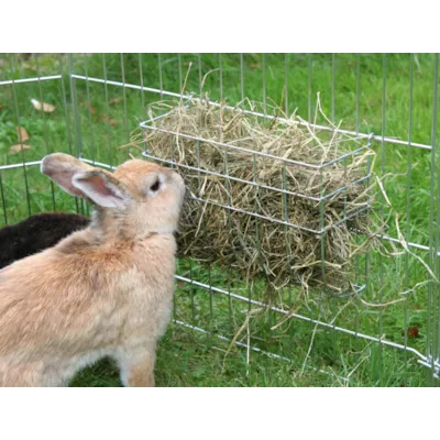 Høyhekk til gnager, bilde 2