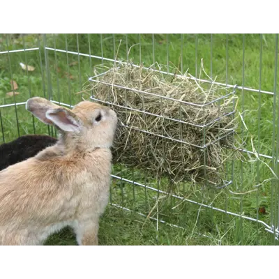 Høyhekk til gnager, bilde 2