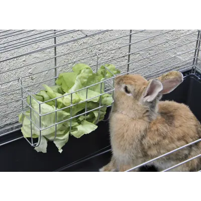 Høyhekk til gnager, bilde 3