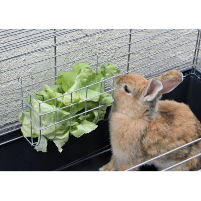 Høyhekk til gnager, bilde 3