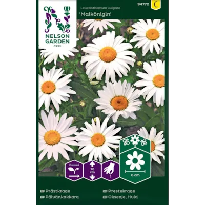 Frø prestekrage Maikönigin