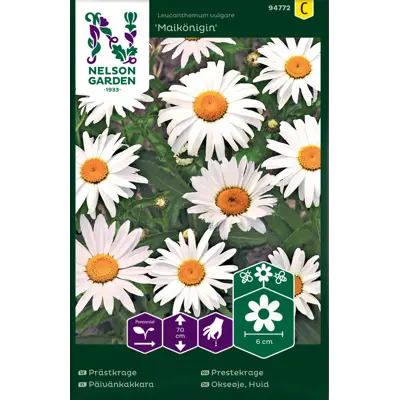 Frø prestekrage Maikönigin