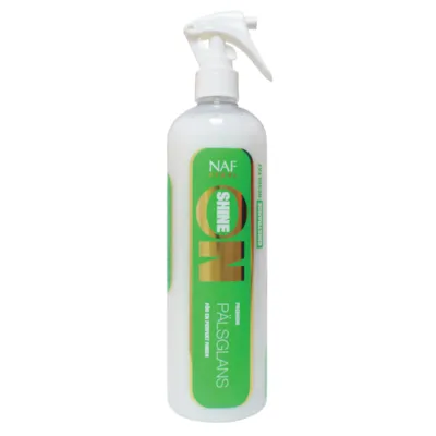 Shine On spray 500 ml