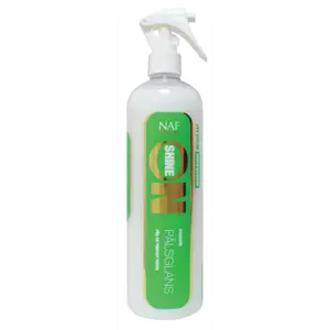 Shine On spray 500 ml