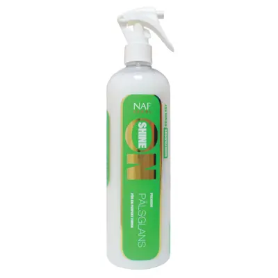 Shine On spray 500 ml