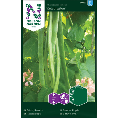 Frø prydbønne Celebration
