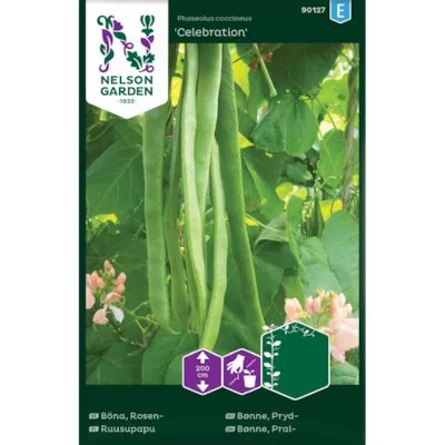 Frø prydbønne Celebration
