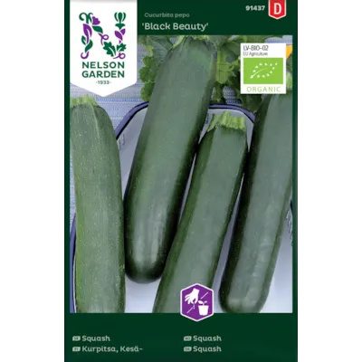 Frø squash Black Beauty økologisk