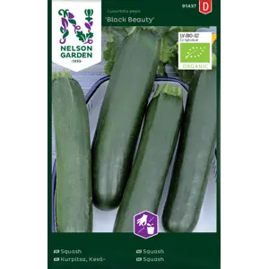 Frø squash Black Beauty økologisk