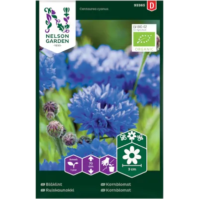 Frø kornblomst økologisk