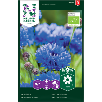 Frø kornblomst økologisk