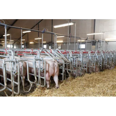 Ete- og hvileboks, bilde 2