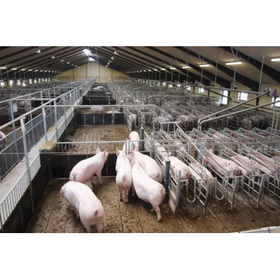 Ete- og hvileboks, bilde 3