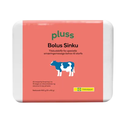 Bolus Sinku 10x80 g