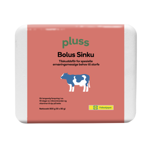 Bolus Sinku 10x80 g