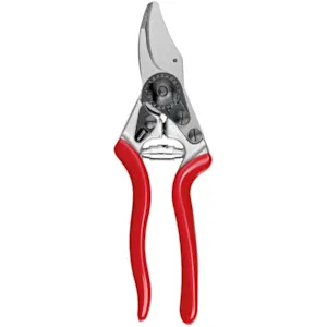 Beskjæringssaks 6 Ergo