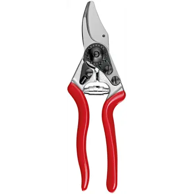 Beskjæringssaks 6 Ergo