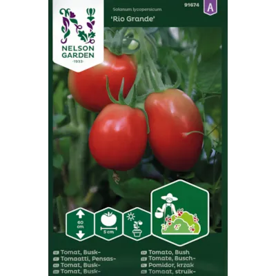 Frø busktomat Rio Grande