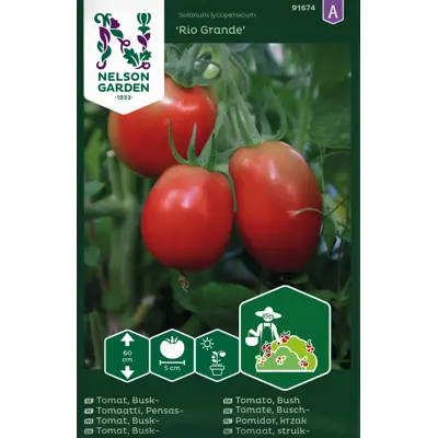 Frø busktomat Rio Grande