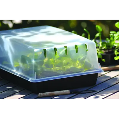 Lokk til spirekasse B24xL38 cm, bilde 2