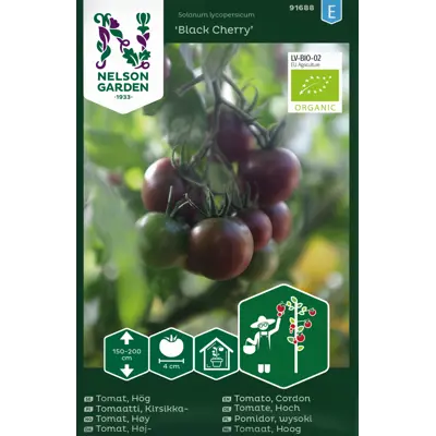 Frø tomat høy Black Cherry økologisk
