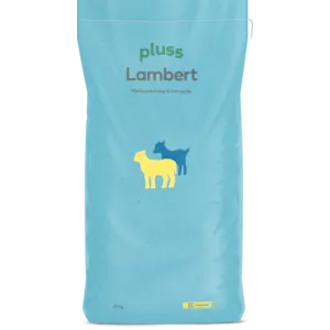 Lambert 25 kg
