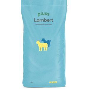 Lambert 25 kg