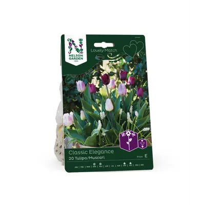 Høstløk tulipan og muscari Classic Elegance