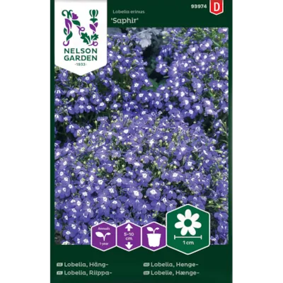 Frø hengelobelia Saphir