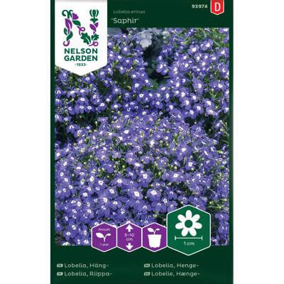 Frø hengelobelia Saphir
