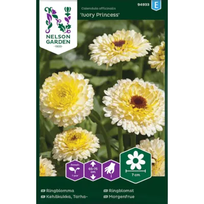 Frø ringblomst Ivory Princess