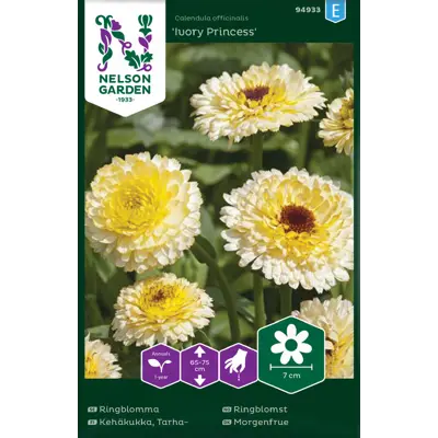 Frø ringblomst Ivory Princess