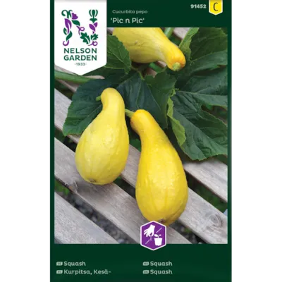 Frø squash Pic n Pic