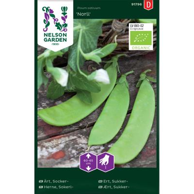 Frø sukkerert Norli