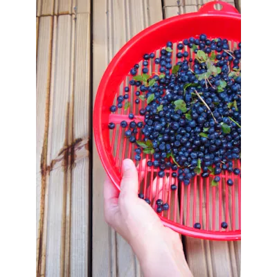 Bærrenser 30 cm, bilde 3