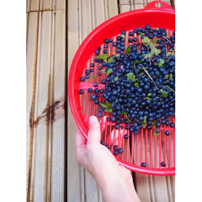 Bærrenser 30 cm, bilde 3