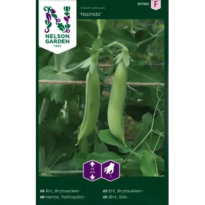 Frø brytsukkerert Nairobi