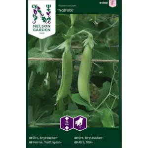 Frø brytsukkerert Nairobi