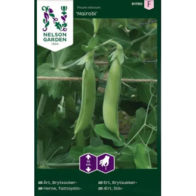 Frø brytsukkerert Nairobi