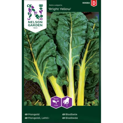 Frø bladbete Bright Yellow