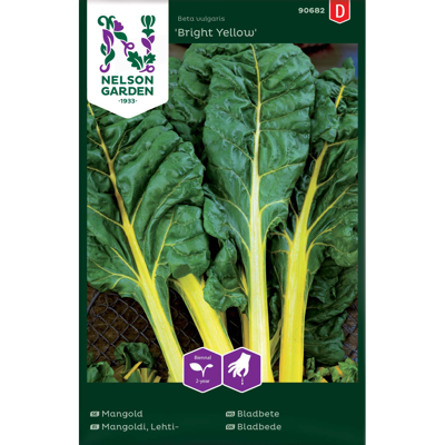 Frø bladbete Bright Yellow