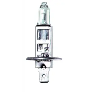 Lyspære 55W