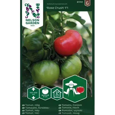 Frø tomat høy Rose Crush