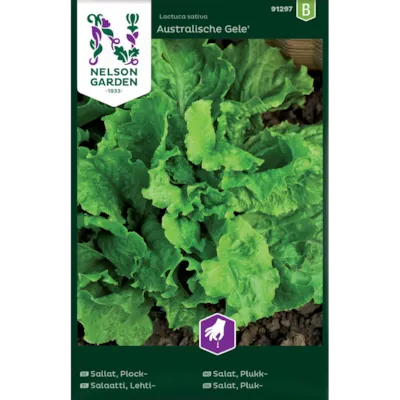 Frø plukksalat Australische Gele