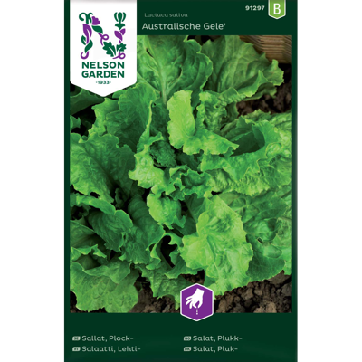 Frø plukksalat Australische Gele