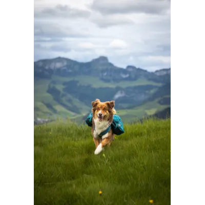 Kløv Trail Quest grønn, bilde 4