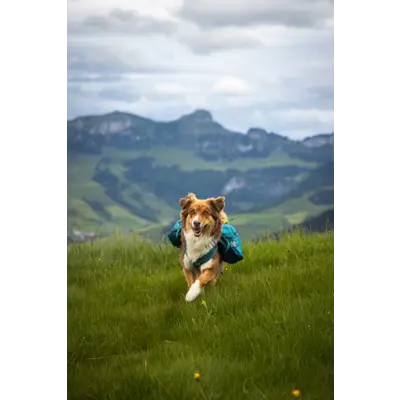 Kløv Trail Quest grønn, bilde 4