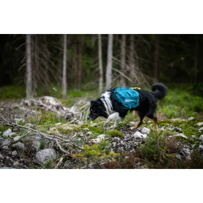 Kløv Trail Quest grønn, bilde 7